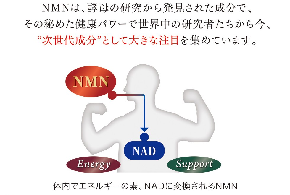 パワーサプライ