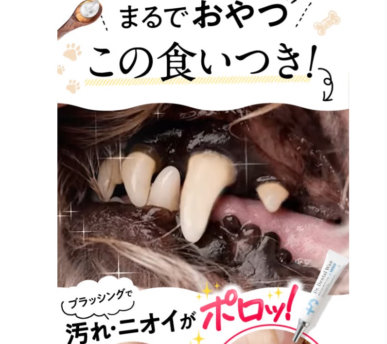 ドクターデンタルワン