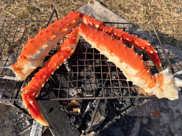 カニの画像