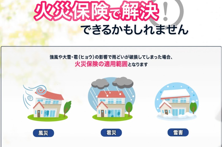 やねまる