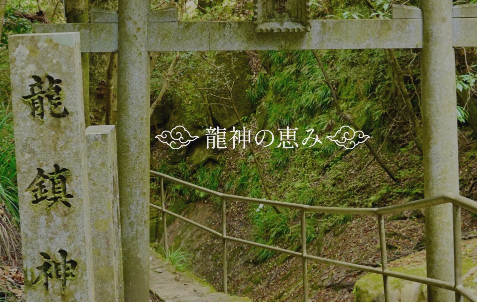 龍神の恵み