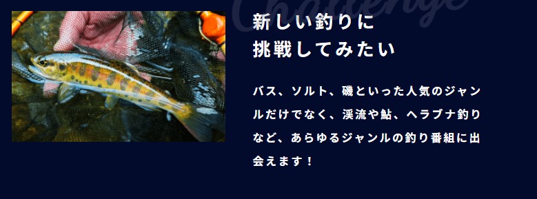 釣りビジョン