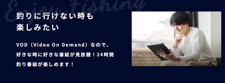 釣りビジョン
