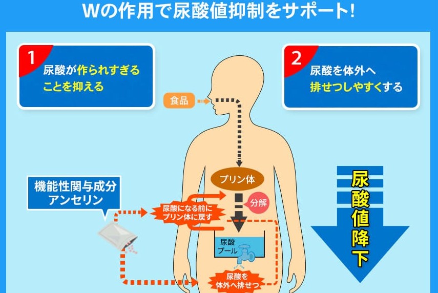 恵葉プレミアム
