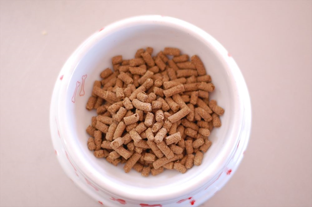 みらいのドッグフード