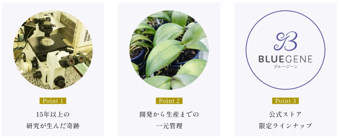 胡蝶蘭の画像