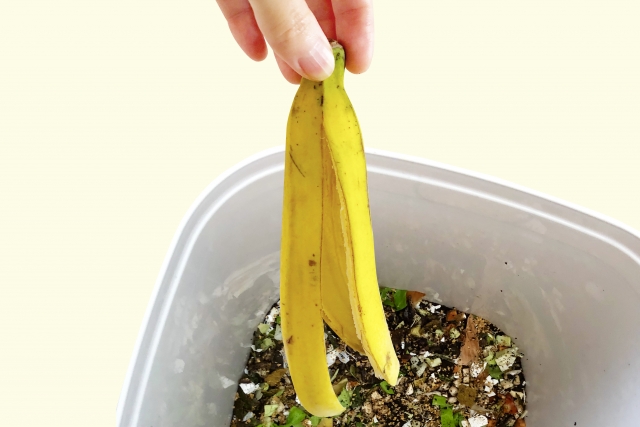 生ごみ処理