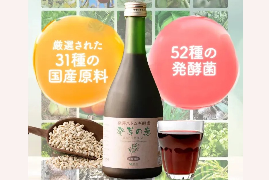 発芽の恵