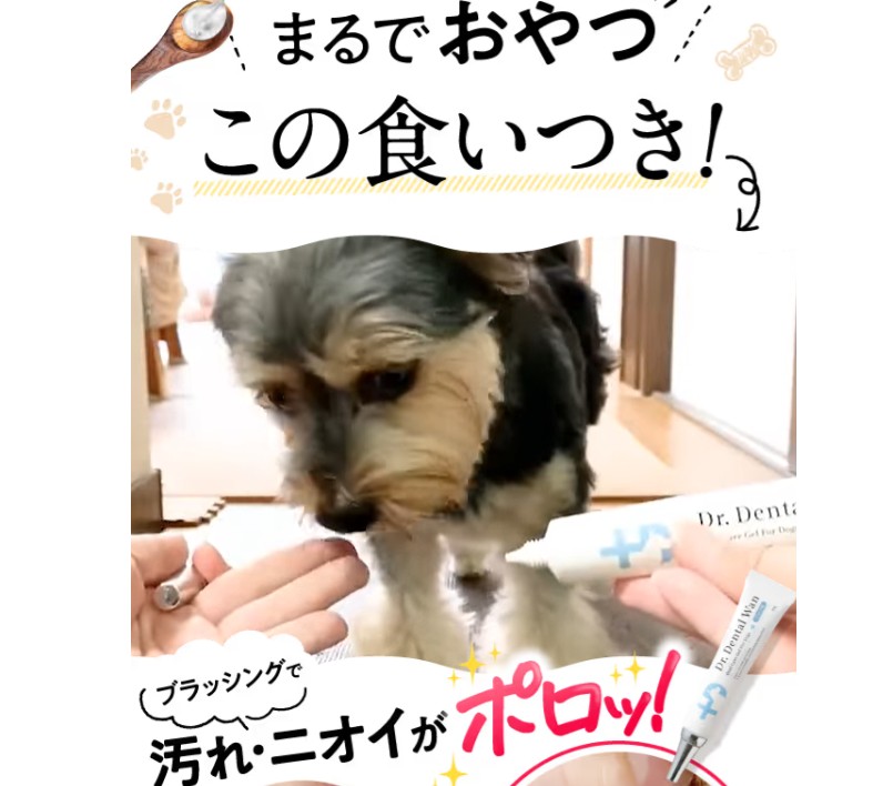 ドクターデンタルワン