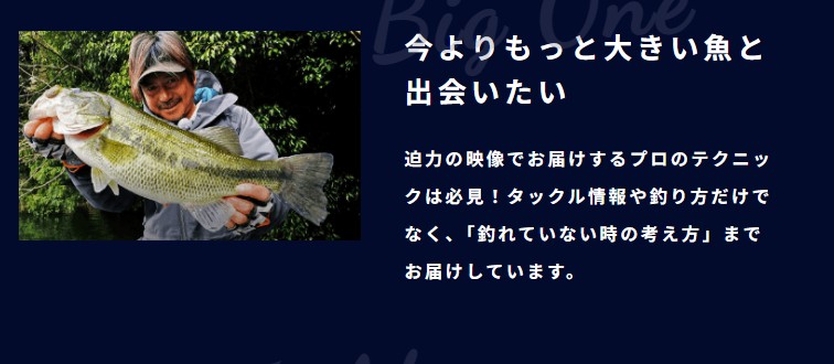 釣りビジョン